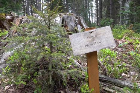 Zlatar - botaničke bašte .. (10).jpg