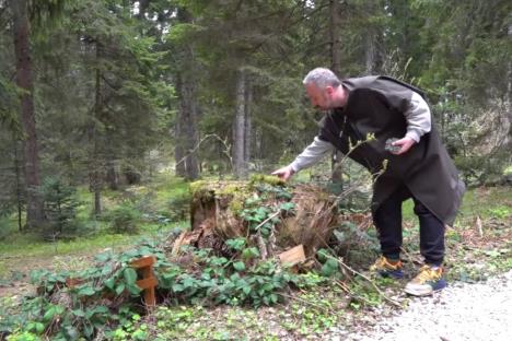 Zlatar - botaničke bašte - Milomir Antonijević (2).jpg