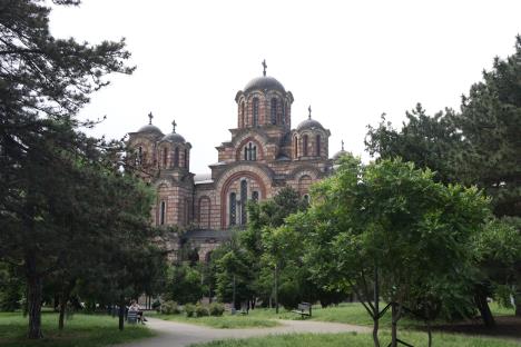 petar aleksic (2).JPG