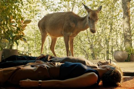 Porodična terapija, kadar iz filma.jpg