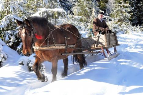 zlatibor-sneg-zima.jpg