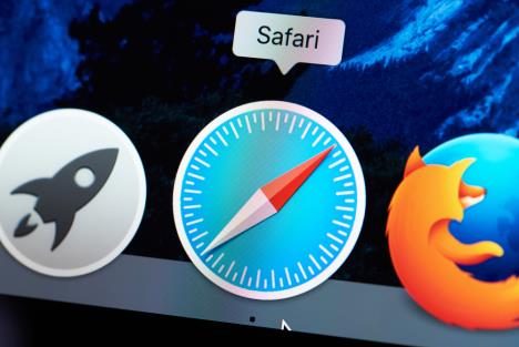 Safari  (1).jpg