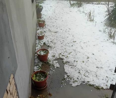 1746717791IMG_6580.jpeg