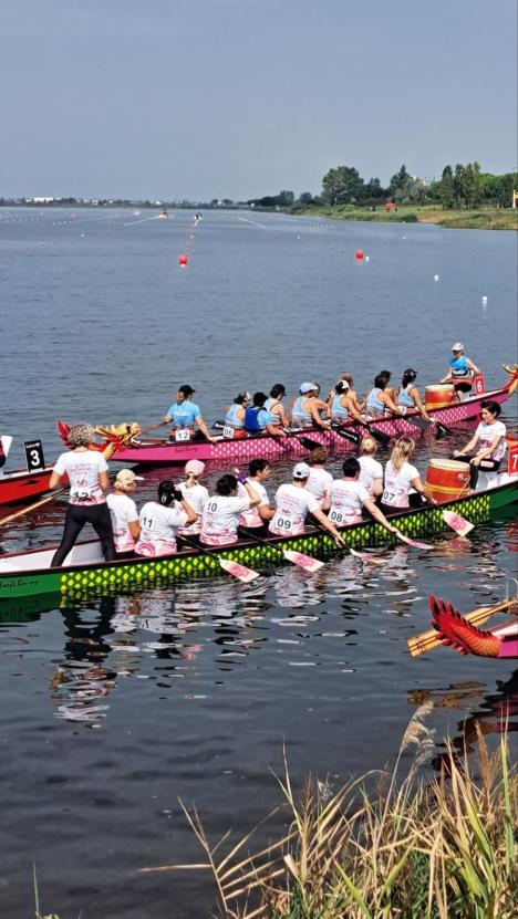 Dragon Boat veslanje foto klub Beodragons 02.jpg