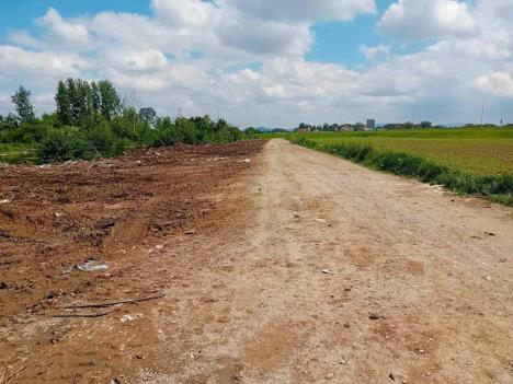 LOZNICA - Ponovo očišćeno.jpg