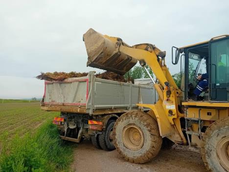 LOZNICA - Puni kamioni otpada.jpg