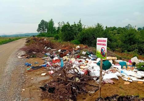 LOZNICA - Uzalud upozorenja.jpg