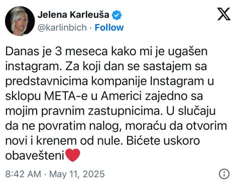 Jelena Karleuša.jpeg
