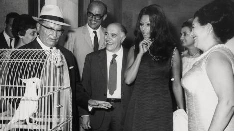 Koki still34 c Quenton Miller.jpg