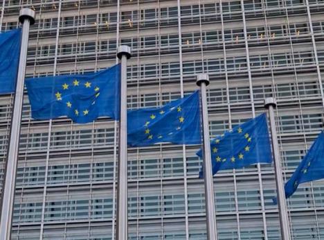 Screenshot 2025-05-13 093629.jpg