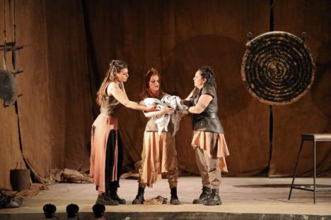 Joakim Vujić - Amazonke.jpg