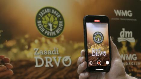 Zasadi drvo
