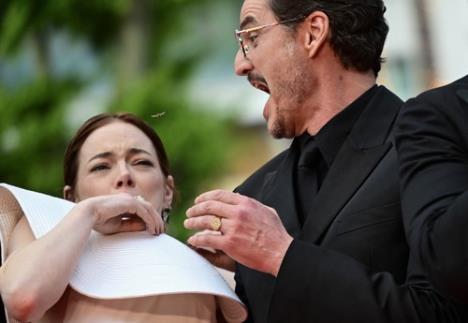 ema stoun profimedia-0999982514.jpg