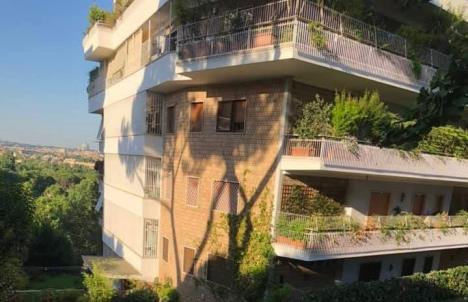 WhatsApp Image 2025-05-19 at 2.41.05 PM (1).jpeg