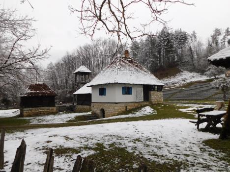 TRŠIĆ - Lep i zimi.JPG