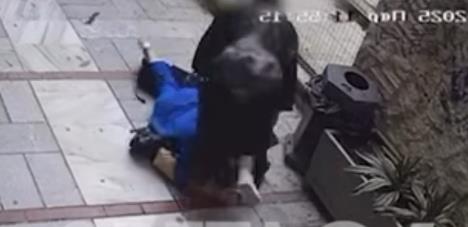 Screenshot 2025-05-21 201117.jpg