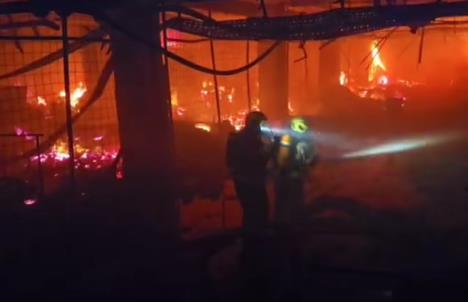 Screenshot 2025-05-25 083602.jpg