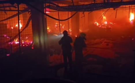 Screenshot 2025-05-25 083618.png