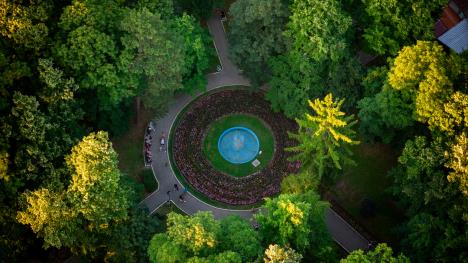 LiveProduction1TOSSokoBanjaTotal - 7.jpg