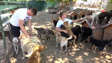 jutarnji clean.01_25_44_13.Still010.jpg