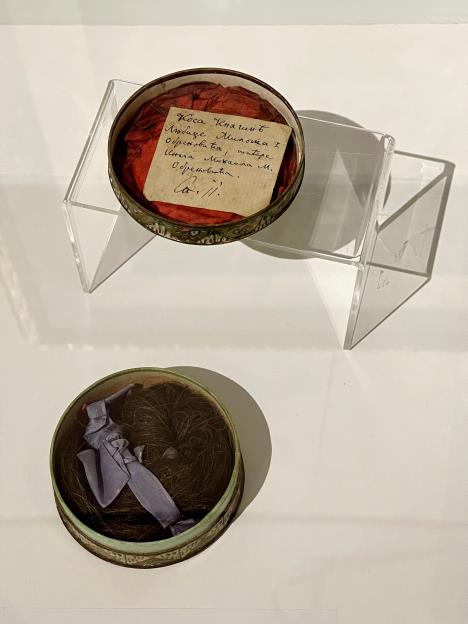 Pramen kose kneginje Ljubice.jpeg