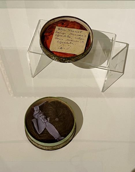 Pramen kose kneginje Ljubice