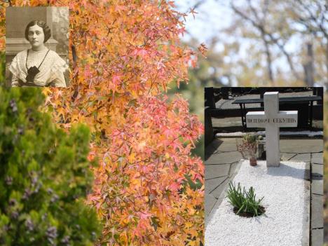 ISIDORA SEKULIC_POSLEDNJE POČIVALIŠTE.jpg