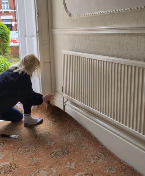 Screenshot 2025-06-02 133023.png