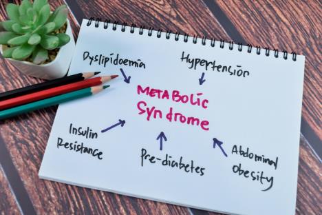 metabolički sindrom shutterstock_2437557899.jpg