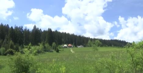 Screenshot 2025-06-03 223310.jpg