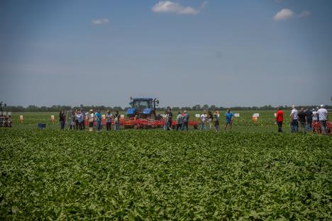 Sunoko Dan polja šećerne repe 2025 1 - Foto Jakov Simović.jpg