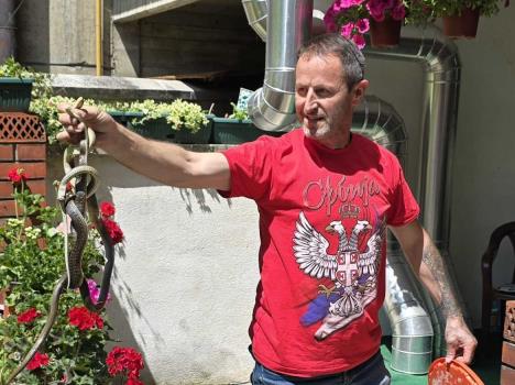 Zmije - Arsenije Hadži Basurović (1a).jpg