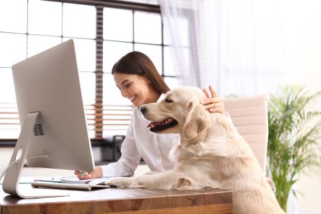 shutterstock_1549691213.jpg