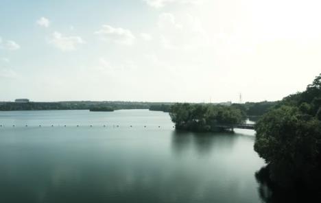 Lejdi Berd Lejk Teksas.jpg