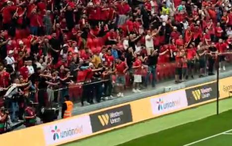 Screenshot 2025-06-07 200544.jpg