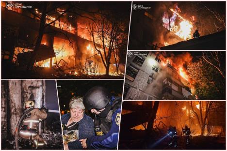 collage.jpg