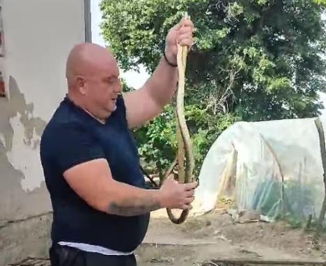 vladica stanković.jpg