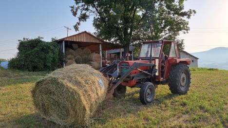 njiva, traktor, seno, bale, plaštenje, suva trava