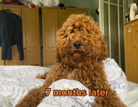 Screenshot 2025-06-11 142439.png