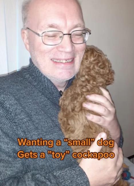 Screenshot 2025-06-11 142400.png