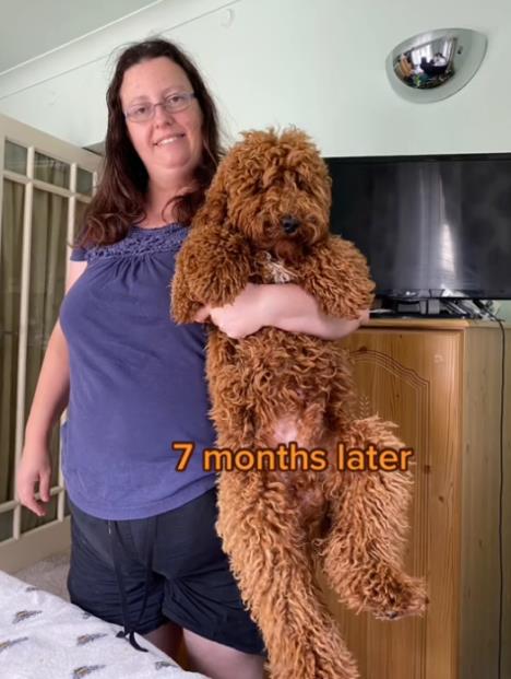 Screenshot 2025-06-11 142422.png