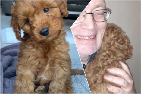 Kupili mini kokapua, a dobili džina