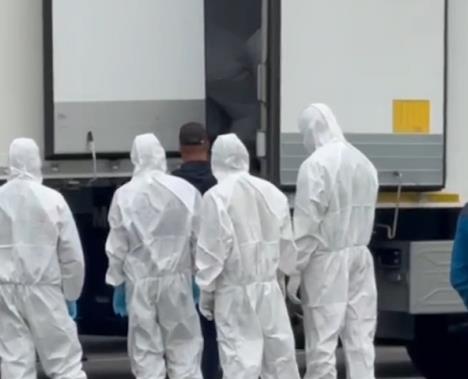 razmena poginulih vojnika.jpg