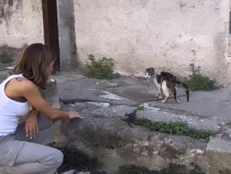 Kejt Bekinsejl
 profimedia-0876299360.jpg