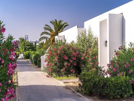 7. iberostar.jpg