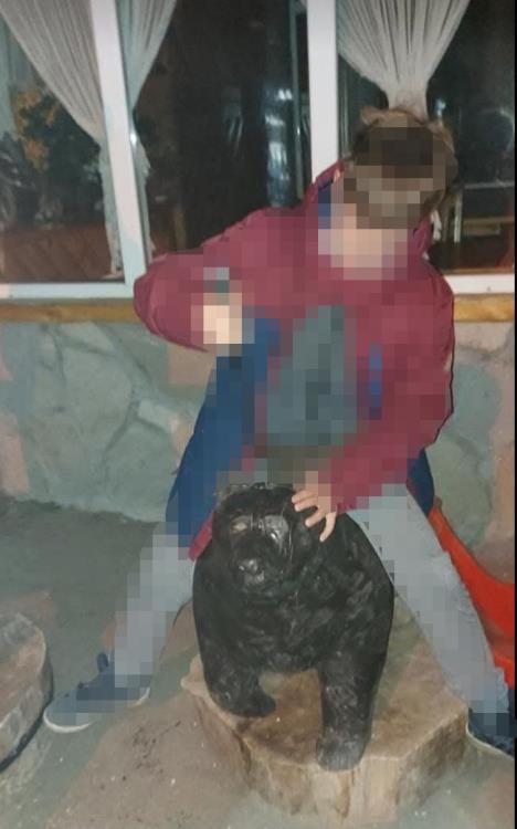 GetOriginalImageById (1).jpeg