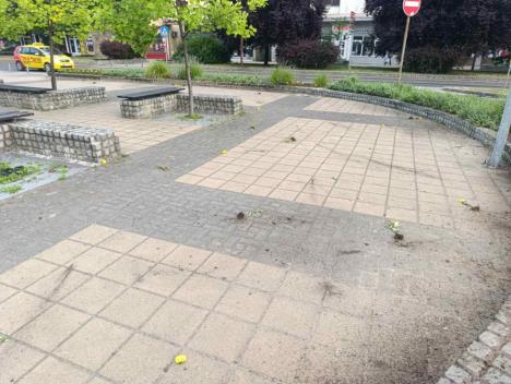 LOZNICA - Počupano.jpg