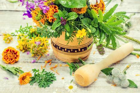 lekovito bilje shutterstock_678527257.jpg