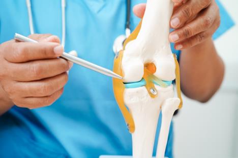 spondiloartritis zglobovi shutterstock_2478544949.jpg
