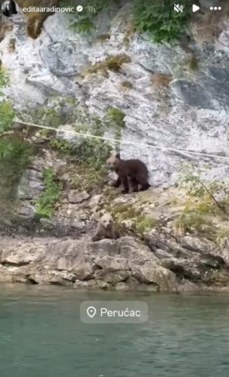 Edita prestravljena medvedi ispred nje